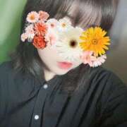 ヒメ日記 2025/04/11 15:57 投稿 そら 名古屋ちゃんこ