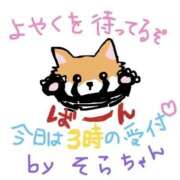 ヒメ日記 2025/04/19 02:38 投稿 そら 名古屋ちゃんこ