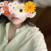 ヒメ日記 2025/04/26 11:36 投稿 そら 名古屋ちゃんこ