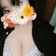 ヒメ日記 2025/04/27 20:20 投稿 そら 名古屋ちゃんこ