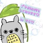 ヒメ日記 2025/04/28 15:57 投稿 そら 名古屋ちゃんこ