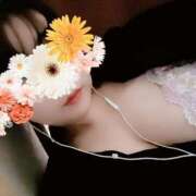 ヒメ日記 2025/05/02 15:27 投稿 そら 名古屋ちゃんこ