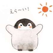 ヒメ日記 2025/05/07 11:37 投稿 そら 名古屋ちゃんこ