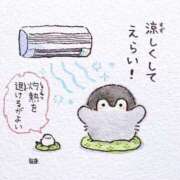 ヒメ日記 2025/06/21 05:29 投稿 そら 名古屋ちゃんこ