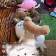 ヒメ日記 2025/06/23 15:14 投稿 そら 名古屋ちゃんこ