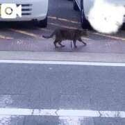 ヒメ日記 2025/07/12 13:29 投稿 そら 名古屋ちゃんこ