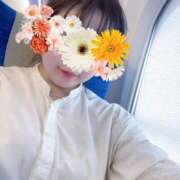 ヒメ日記 2025/07/26 09:37 投稿 そら 名古屋ちゃんこ