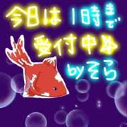 ヒメ日記 2025/07/27 23:57 投稿 そら 名古屋ちゃんこ