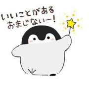 ヒメ日記 2025/08/19 22:27 投稿 そら 名古屋ちゃんこ