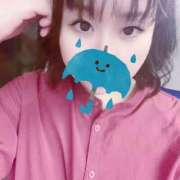 ヒメ日記 2025/09/11 07:37 投稿 そら 名古屋ちゃんこ