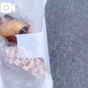 ヒメ日記 2025/09/29 14:47 投稿 そら 名古屋ちゃんこ