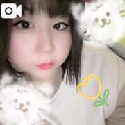 ヒメ日記 2026/02/11 17:23 投稿 そら 名古屋ちゃんこ