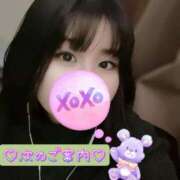 ヒメ日記 2026/02/17 19:08 投稿 そら 名古屋ちゃんこ