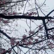 ヒメ日記 2026/03/03 16:58 投稿 そら 名古屋ちゃんこ