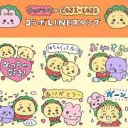 ヒメ日記 2026/03/11 11:38 投稿 そら 名古屋ちゃんこ