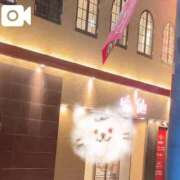 ヒメ日記 2026/03/28 01:18 投稿 そら 名古屋ちゃんこ