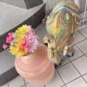 ヒメ日記 2026/04/03 16:08 投稿 そら 名古屋ちゃんこ