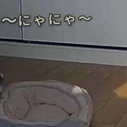 ヒメ日記 2026/04/04 23:38 投稿 そら 名古屋ちゃんこ