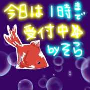 ヒメ日記 2026/04/11 23:08 投稿 そら 名古屋ちゃんこ