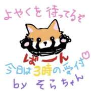 ヒメ日記 2026/04/14 20:28 投稿 そら 名古屋ちゃんこ