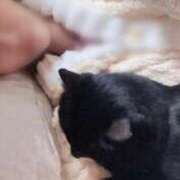 ヒメ日記 2025/03/16 08:25 投稿 一条　すみれ 川崎南町人妻高級ソープ エル・カーヒル(ELCURHIL)秘密の刻