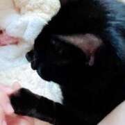 ヒメ日記 2025/03/17 06:21 投稿 一条　すみれ 川崎南町人妻高級ソープ エル・カーヒル(ELCURHIL)秘密の刻