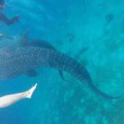 ヒメ日記 2025/03/17 08:57 投稿 一条　すみれ 川崎南町人妻高級ソープ エル・カーヒル(ELCURHIL)秘密の刻