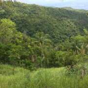 ヒメ日記 2025/03/17 21:06 投稿 一条　すみれ 川崎南町人妻高級ソープ エル・カーヒル(ELCURHIL)秘密の刻