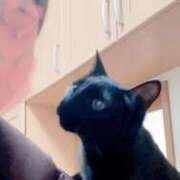 ヒメ日記 2025/03/19 21:34 投稿 一条　すみれ 川崎南町人妻高級ソープ エル・カーヒル(ELCURHIL)秘密の刻