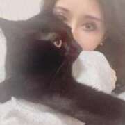 ヒメ日記 2025/03/23 19:44 投稿 一条　すみれ 川崎南町人妻高級ソープ エル・カーヒル(ELCURHIL)秘密の刻