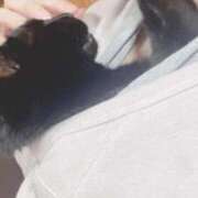 ヒメ日記 2025/03/23 20:09 投稿 一条　すみれ 川崎南町人妻高級ソープ エル・カーヒル(ELCURHIL)秘密の刻