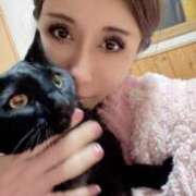 ヒメ日記 2025/03/31 23:10 投稿 一条　すみれ 川崎南町人妻高級ソープ エル・カーヒル(ELCURHIL)秘密の刻