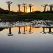 ヒメ日記 2025/06/11 14:40 投稿 一条　すみれ 川崎南町人妻高級ソープ エル・カーヒル(ELCURHIL)秘密の刻