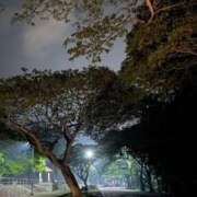 ヒメ日記 2026/01/20 23:57 投稿 一条　すみれ 川崎南町人妻高級ソープ エル・カーヒル(ELCURHIL)秘密の刻