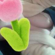 ヒメ日記 2025/01/15 17:59 投稿 白戸 真理 熟女・人妻マダム宮殿