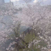 ヒメ日記 2025/04/06 18:56 投稿 ママ ヴィヴィッド・クルーマダム・セカンドヴァージン十三店