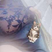 ヒメ日記 2025/09/20 14:46 投稿 ママ ヴィヴィッド・クルーマダム・セカンドヴァージン十三店