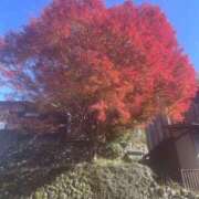 ヒメ日記 2025/11/23 23:17 投稿 ママ ヴィヴィッド・クルーマダム・セカンドヴァージン十三店