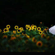 ヒメ日記 2025/08/07 22:44 投稿 まどか シネマ