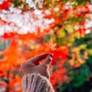 日茉梨(ひまり) 寂しい秋 人妻出逢い会 百合の園 山の手本店