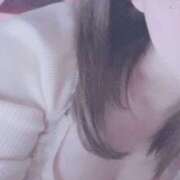 ヒメ日記 2025/02/13 10:11 投稿 ねね【超絶甘えん坊】 ポニーテール和歌山店