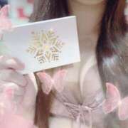 ヒメ日記 2025/02/25 16:16 投稿 ねね【超絶甘えん坊】 ポニーテール和歌山店