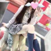 ヒメ日記 2025/02/28 10:27 投稿 ねね【超絶甘えん坊】 ポニーテール和歌山店