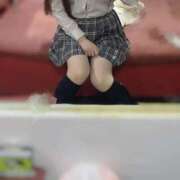 ヒメ日記 2025/09/21 17:12 投稿 ねね【超絶甘えん坊】 ポニーテール和歌山店