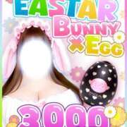 ヒメ日記 2025/04/29 17:02 投稿 長田 BBW西船橋店