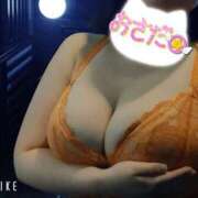 ヒメ日記 2025/04/29 19:02 投稿 長田 BBW西船橋店