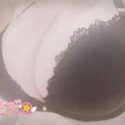 ヒメ日記 2025/11/27 13:12 投稿 長田 BBW西船橋店