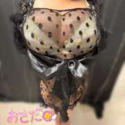 ヒメ日記 2026/02/02 19:11 投稿 長田 BBW西船橋店