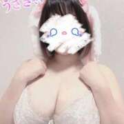 ヒメ日記 2026/08/26 14:21 投稿 長田 BBW西船橋店