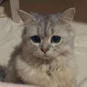 かのん かなちぃ😭 Candy×Candy （キャンディ×キャンディ）